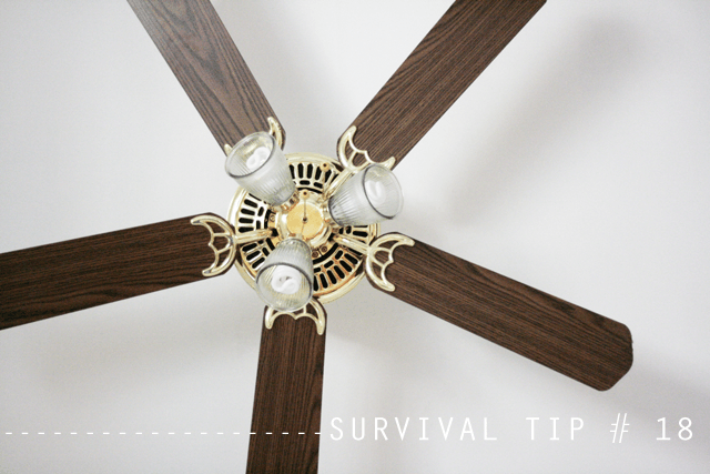 ceilingfan
