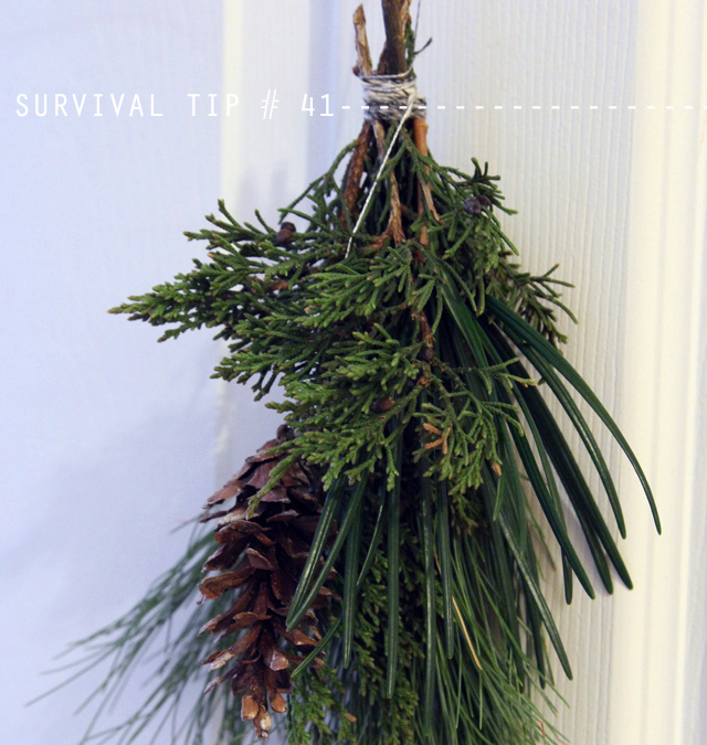 doordecor