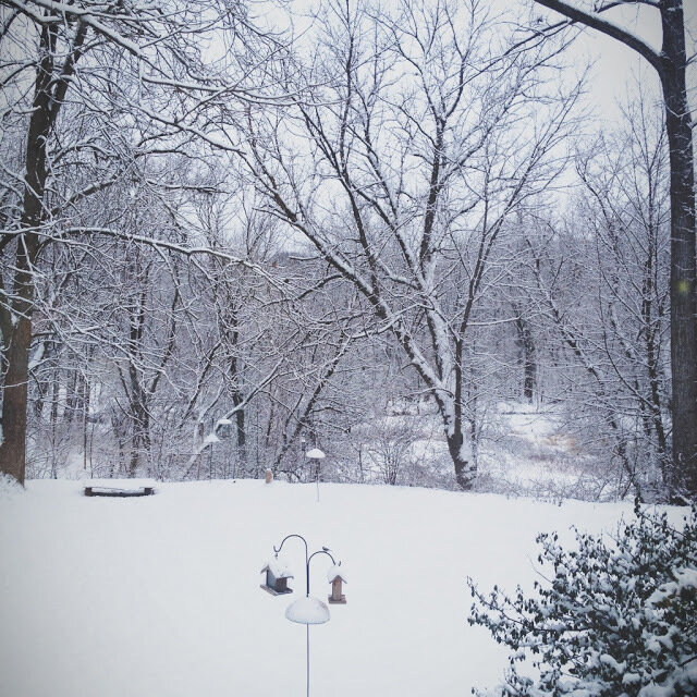 vscocam336