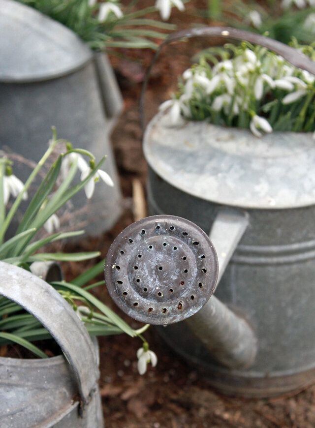 wateringcan9422