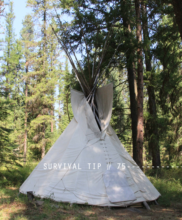 tipi4757