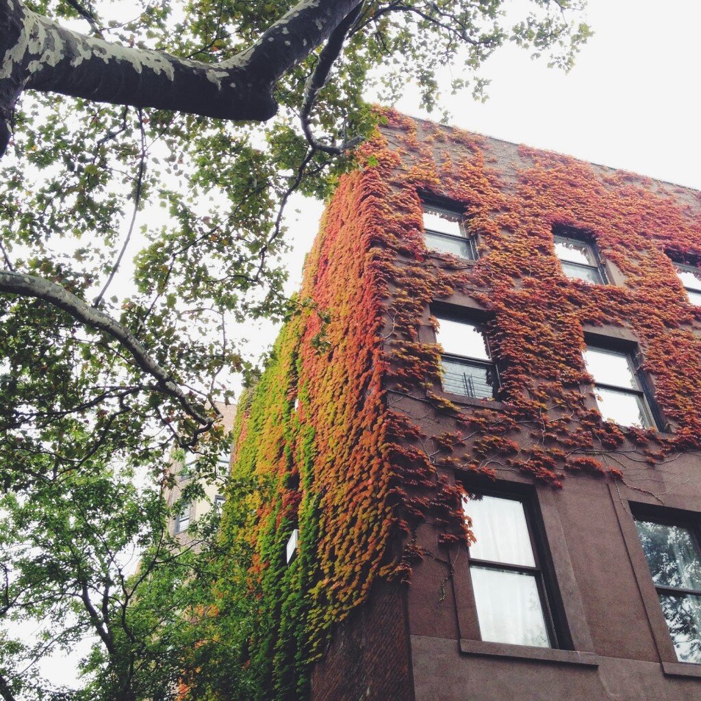 fallinbrooklyn