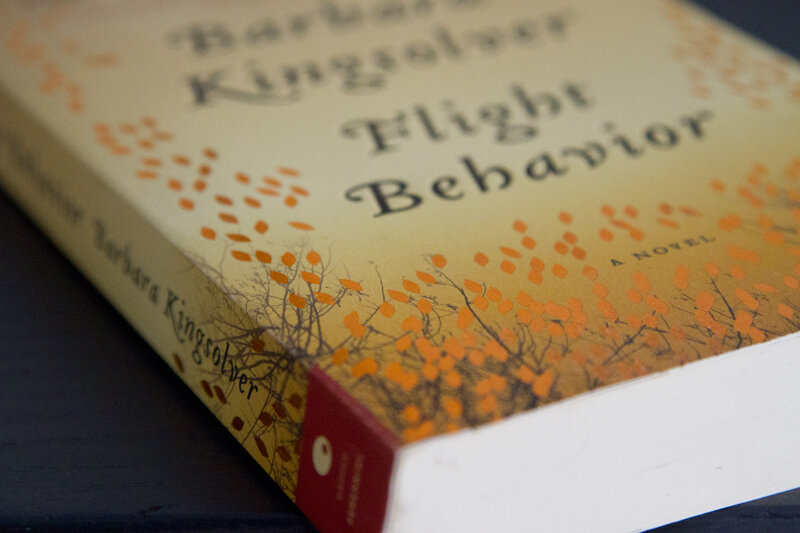 flight behavior reading my tea leaves