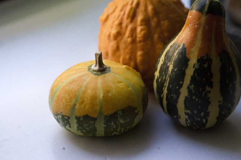 gourds reading my tea leaves