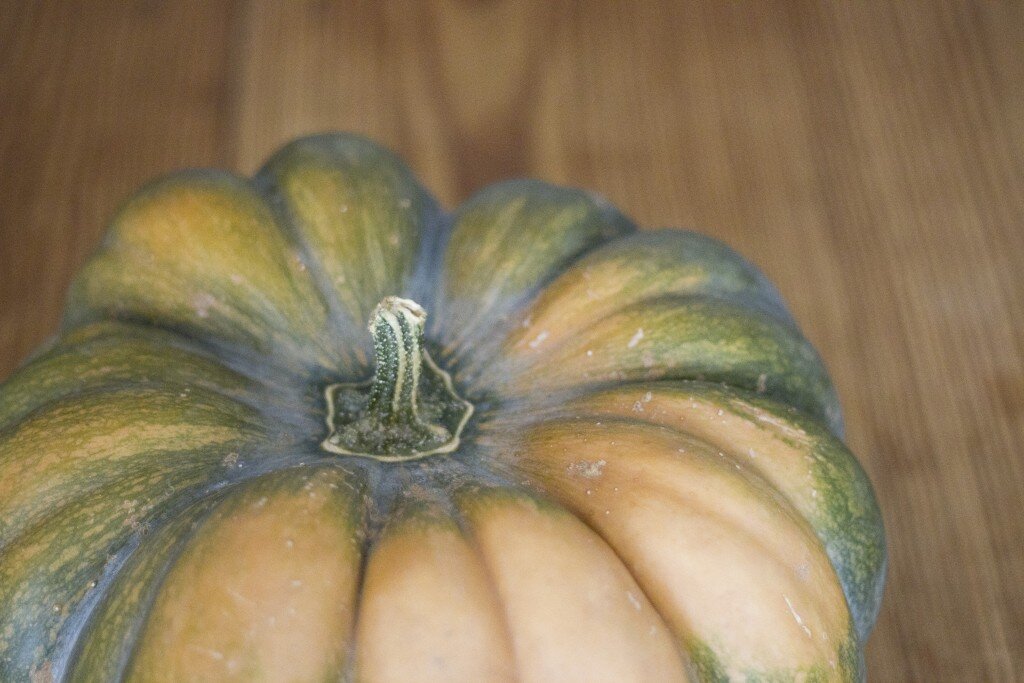 pumpkin
