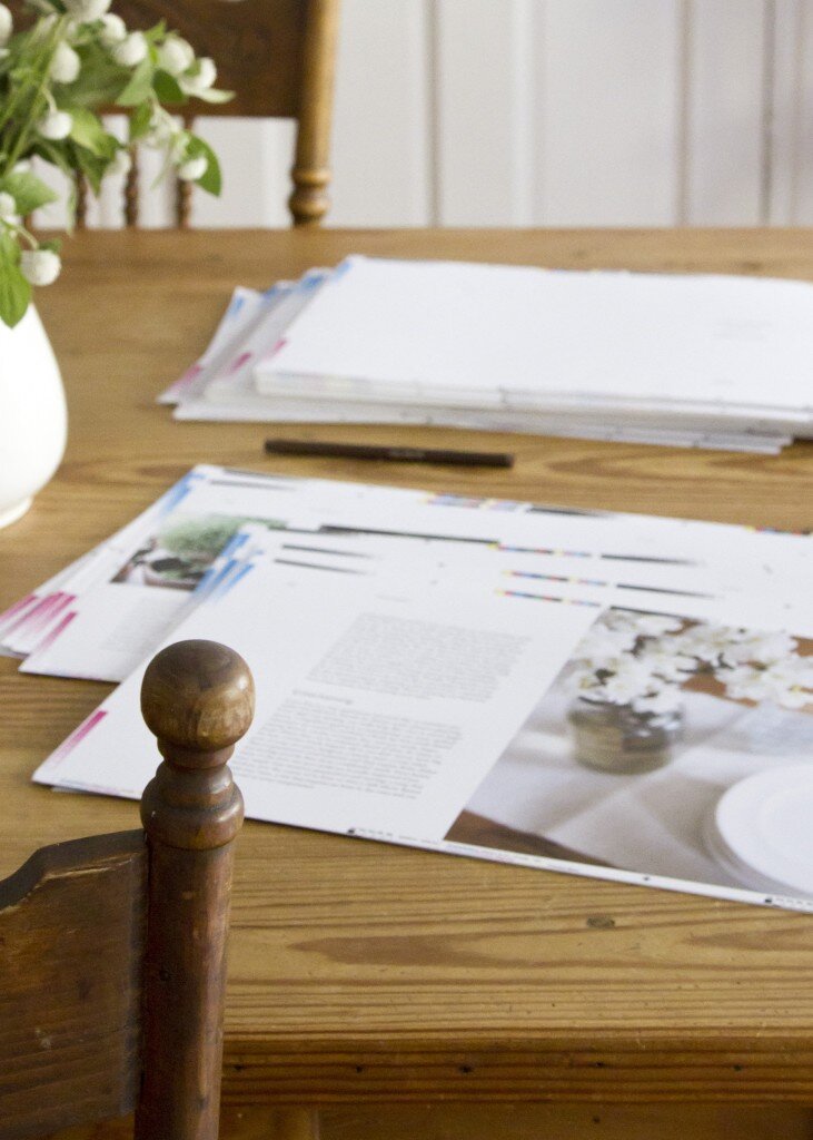 simple matters by erin boyle book proofs