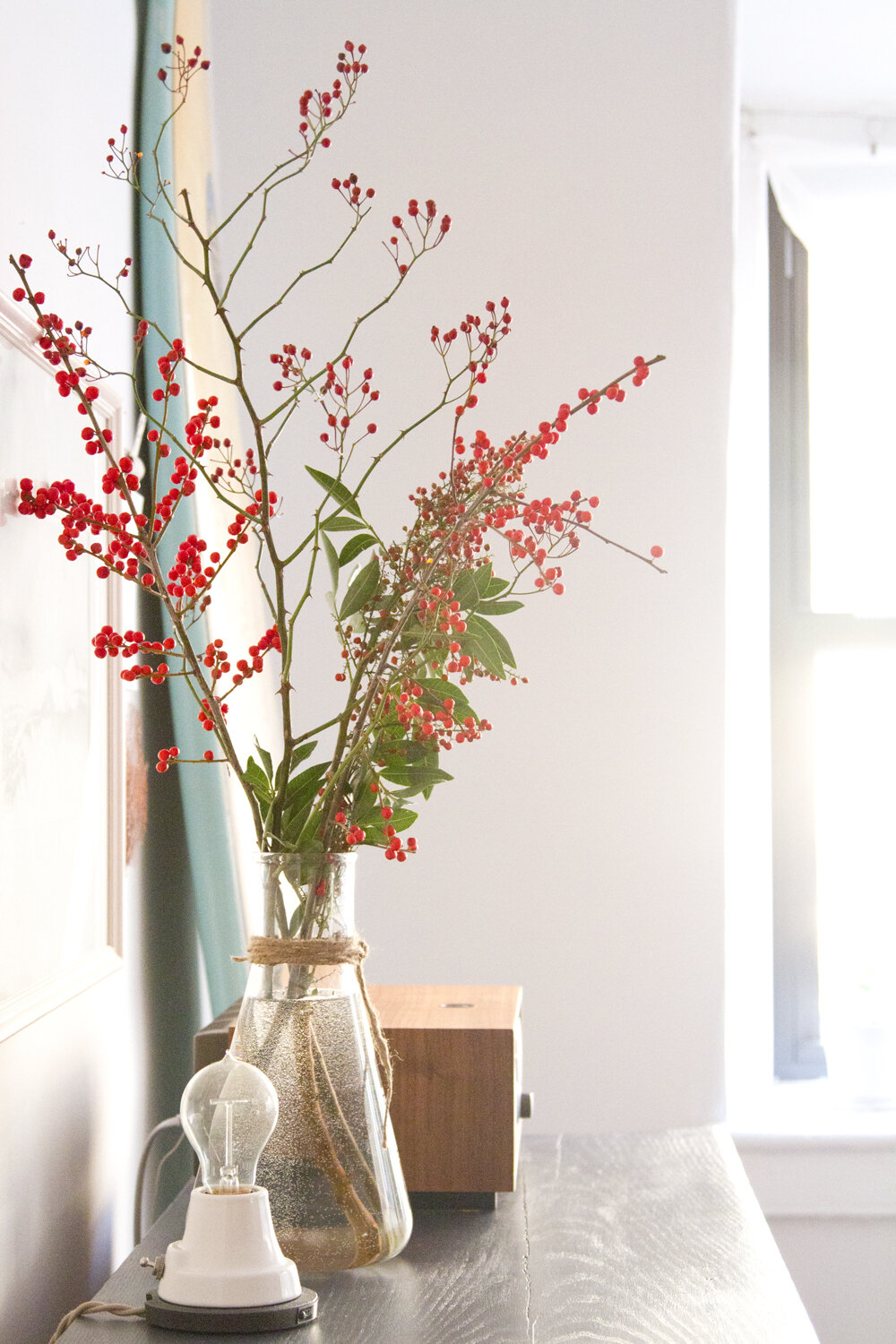 berry branches in a tiny apartment | reading my tea leaves