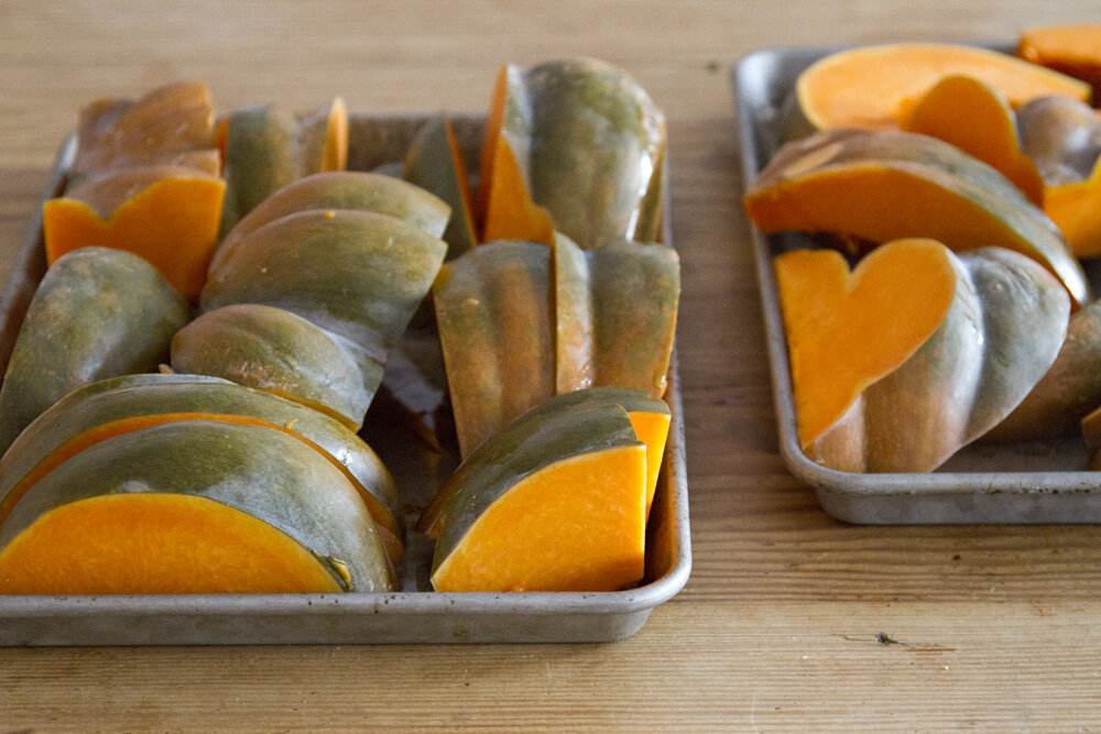 pumpkin9856