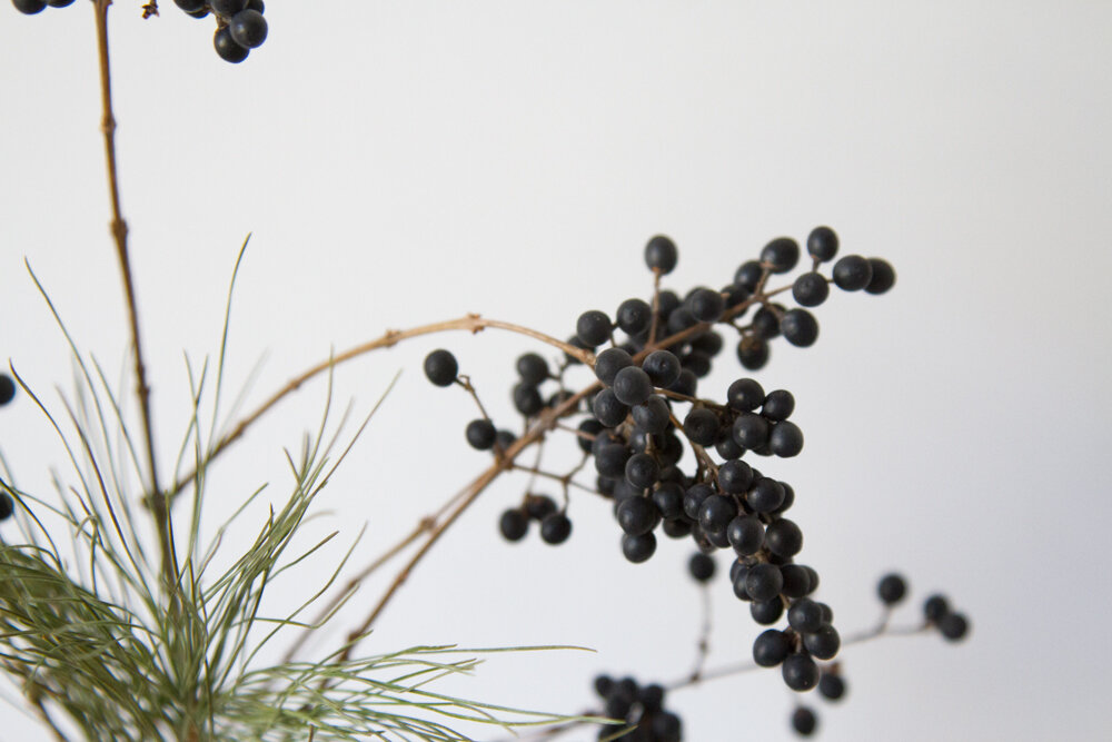 berries_reading_my_tea_leaves_IMG_1737