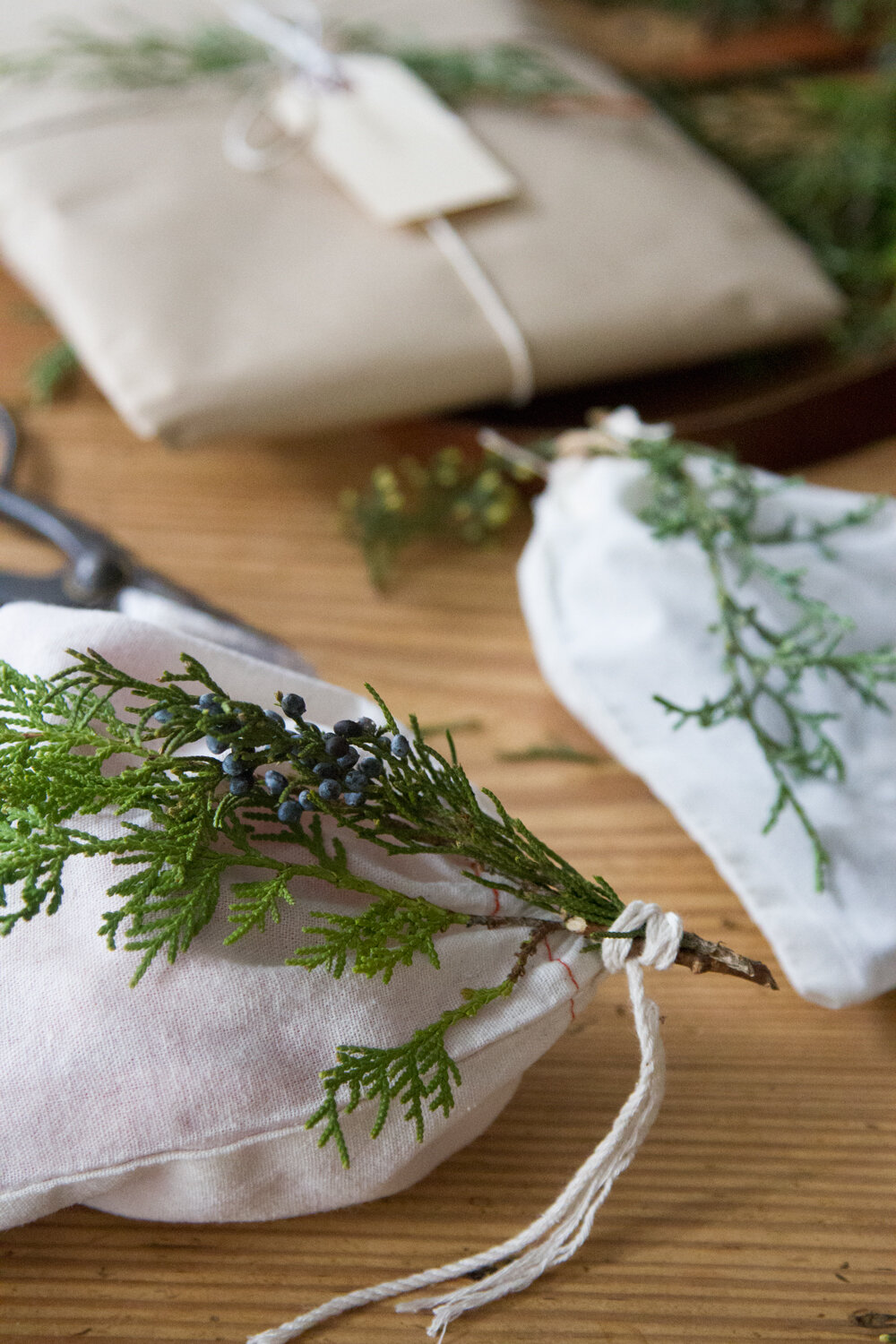 recycled_gift_wrap_reading_my_tea_leaves_IMG_1877
