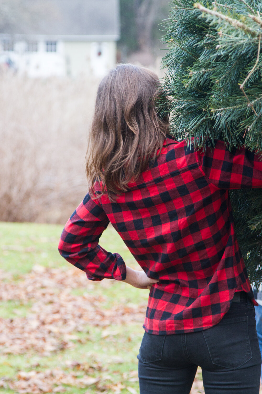 embracing winter with tradlands | reading my tea leaves