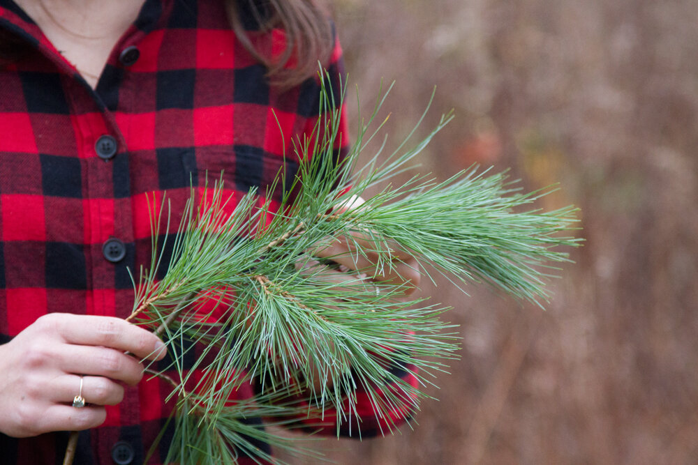 embracing winter with tradlands | reading my tea leaves