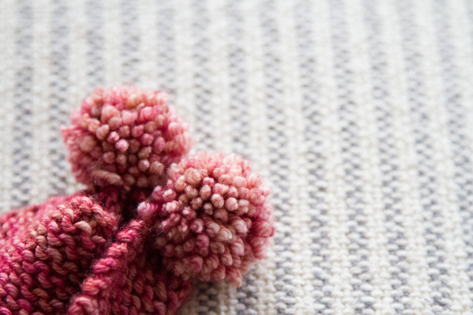 pompom_reading_my_tea_leaves_IMG_3776