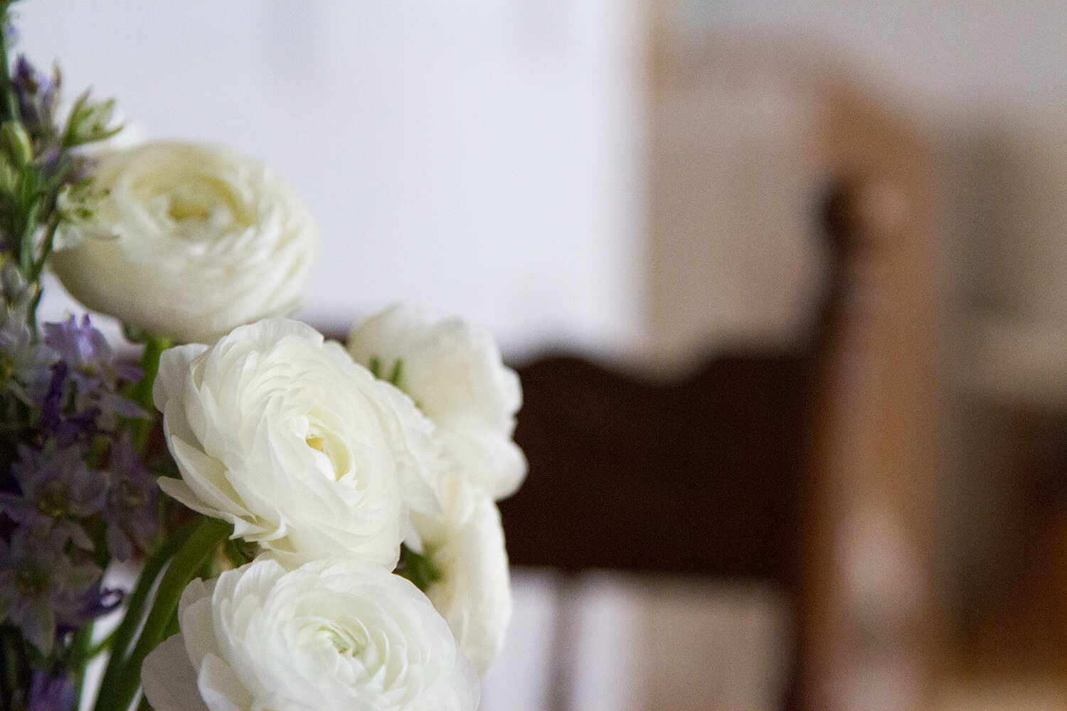 ranunculus_reading_my_tea_leaves_IMG_4458