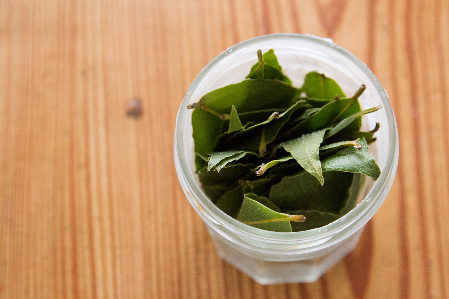bay_leaves_reading_my_tea_leaves_IMG_4666