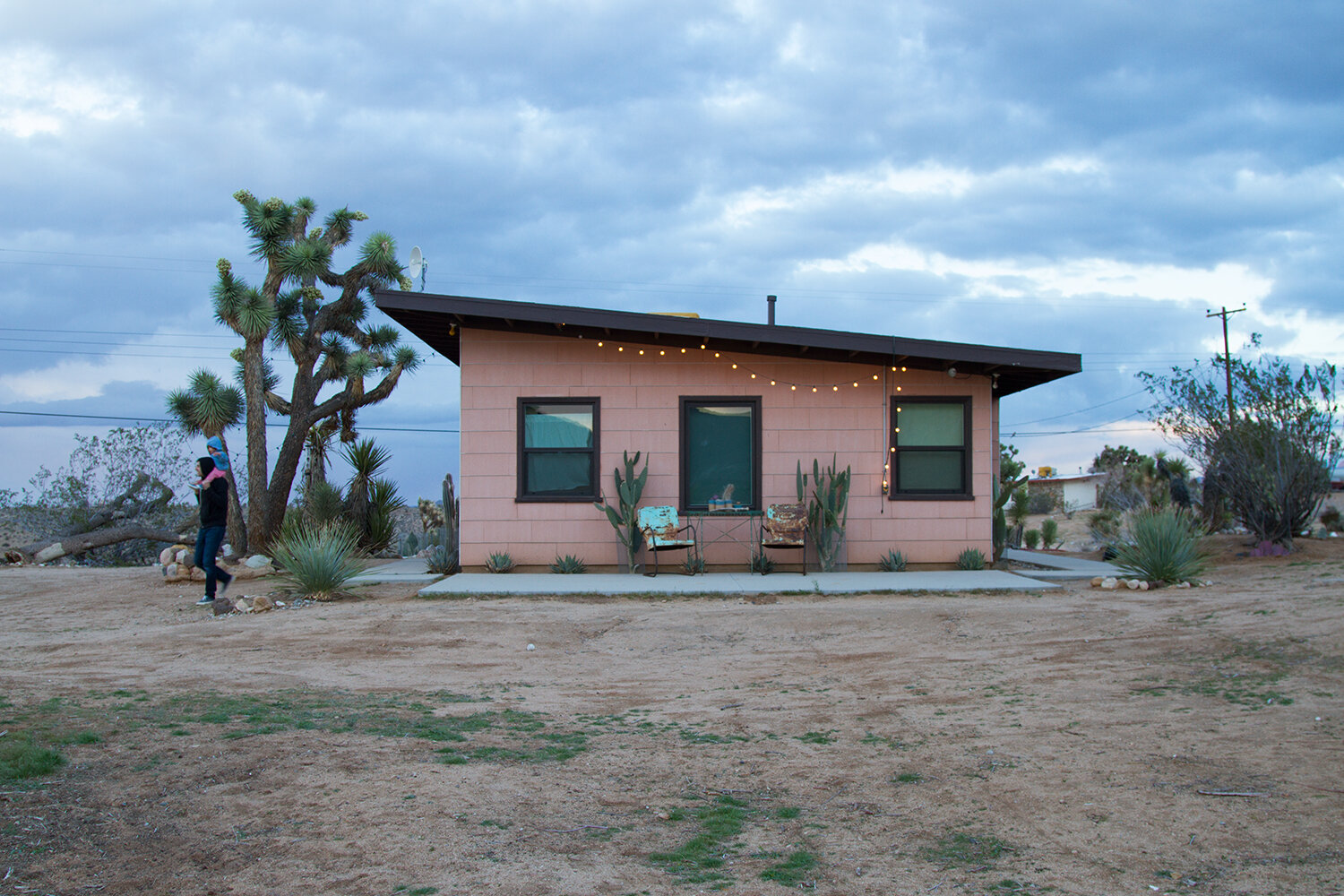 out and about: joshua tree | reading my tea leaves
