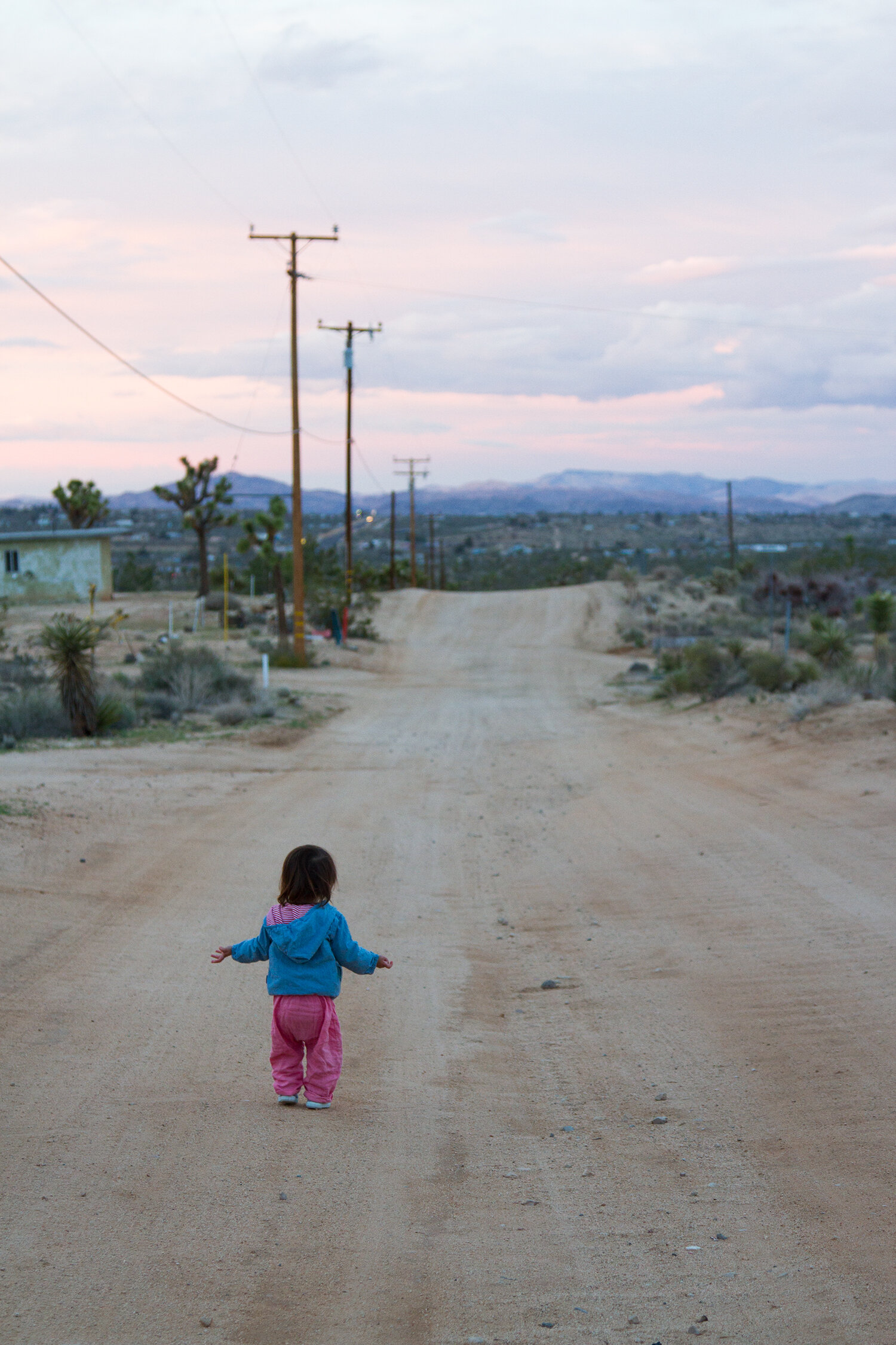 out and about: joshua tree | reading my tea leaves