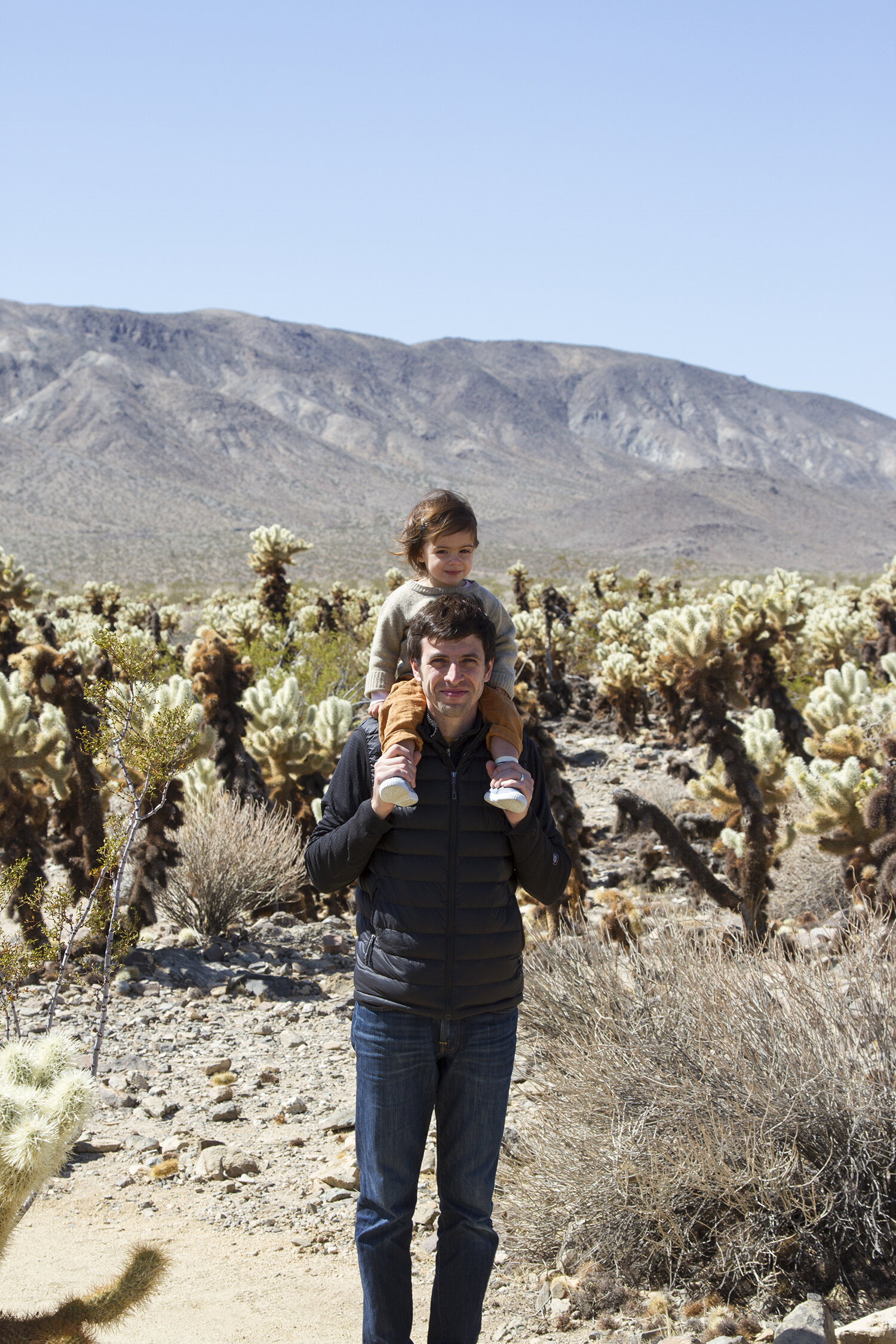 out and about: joshua tree | reading my tea leaves