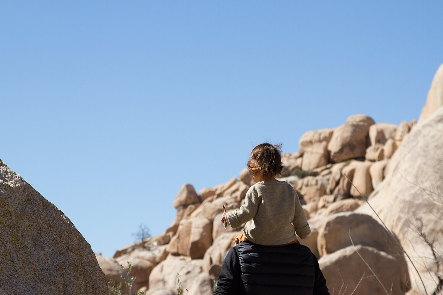 out and about: joshua tree | reading my tea leaves