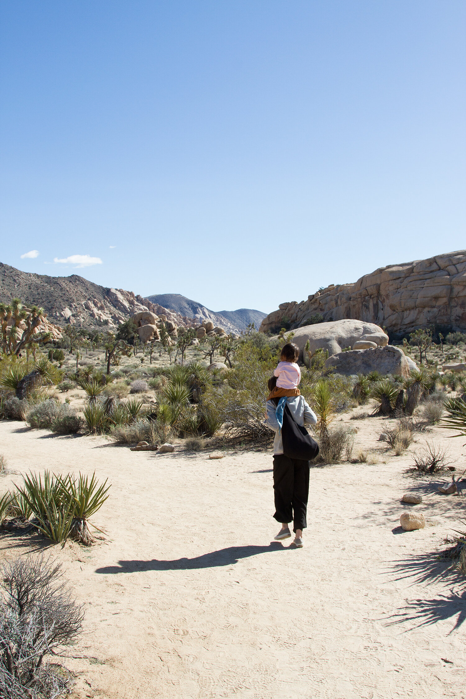 out and about: joshua tree | reading my tea leaves