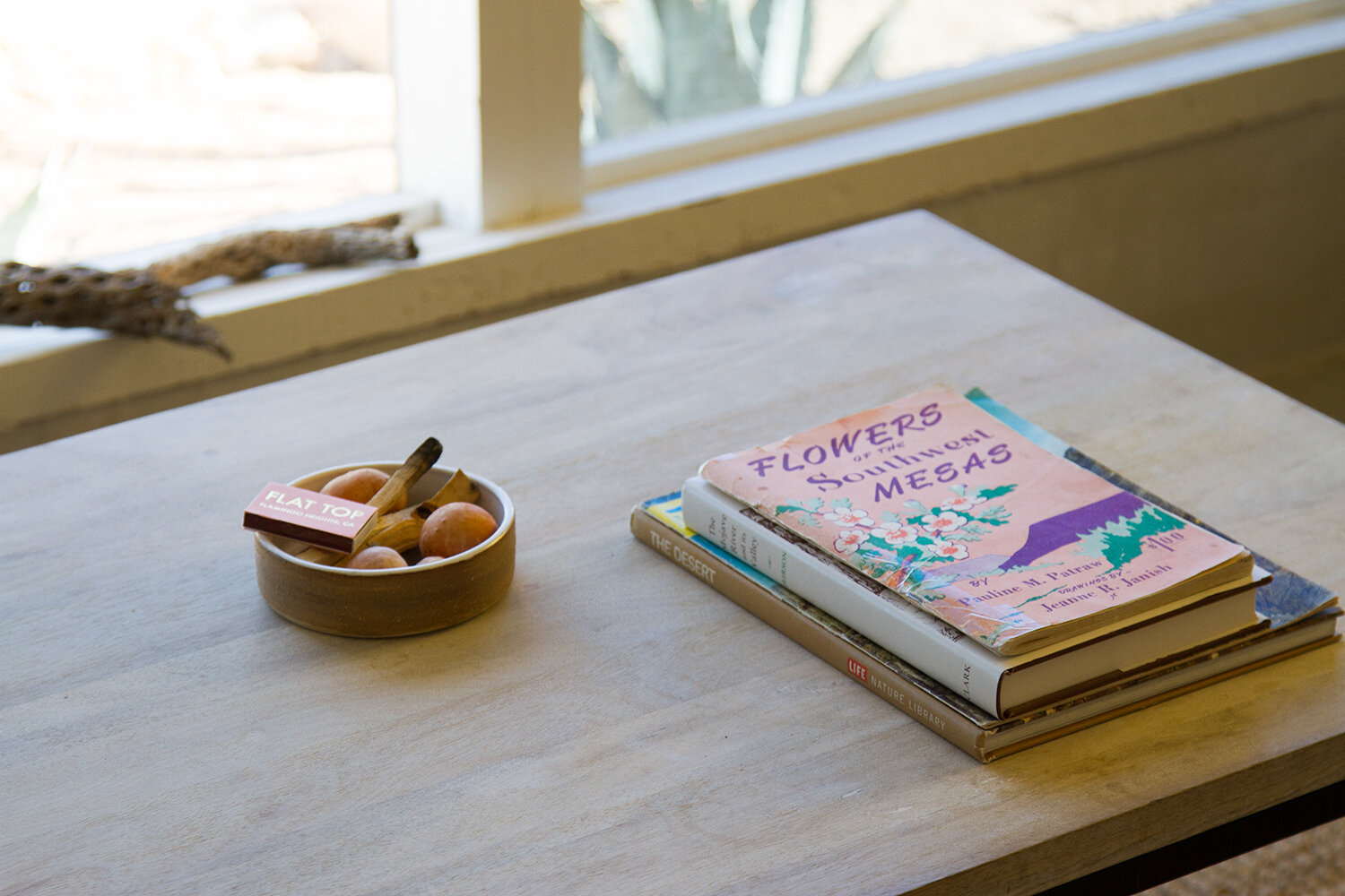 out and about: joshua tree | reading my tea leaves