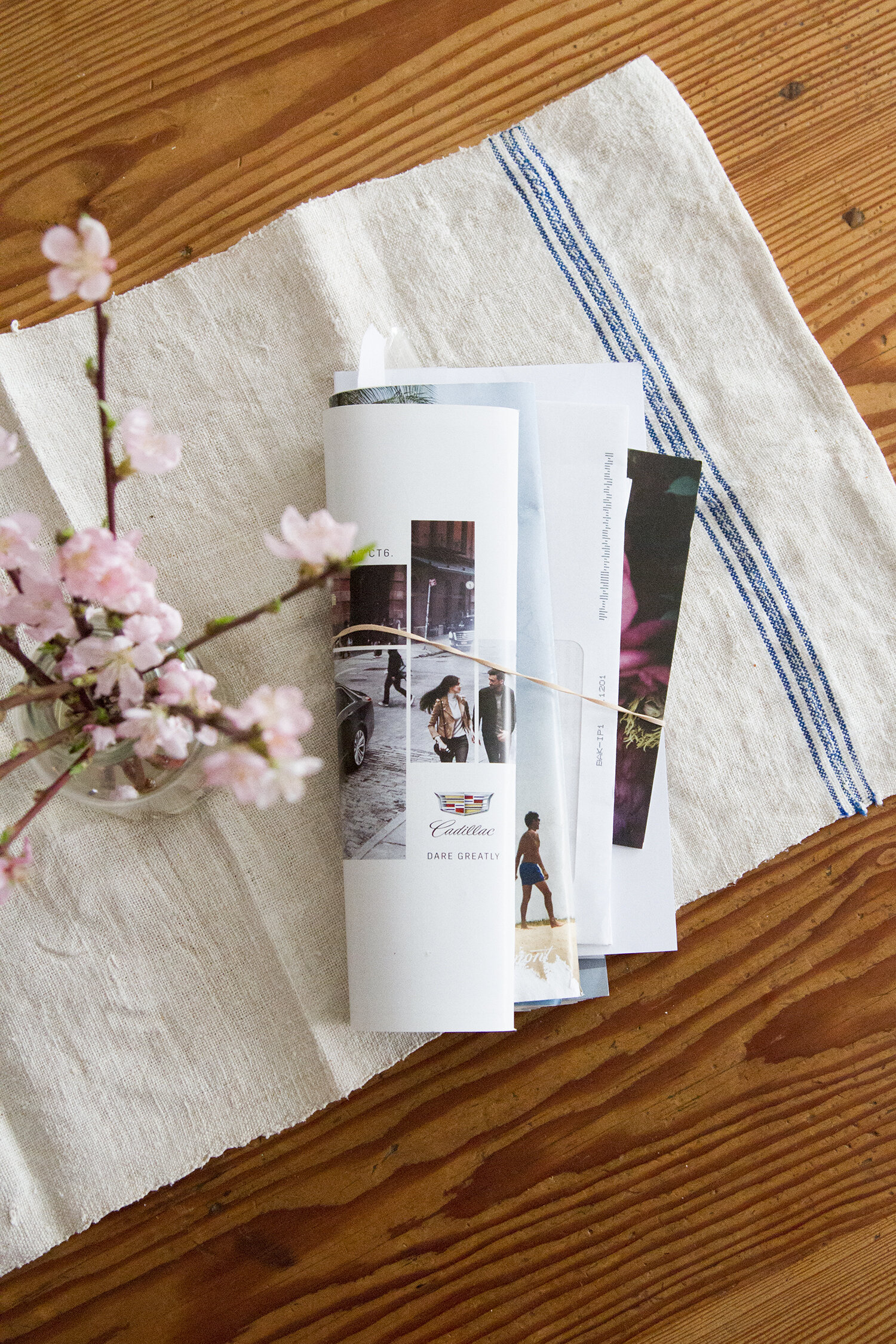 habit shift: junk mail | reading my tea leaves
