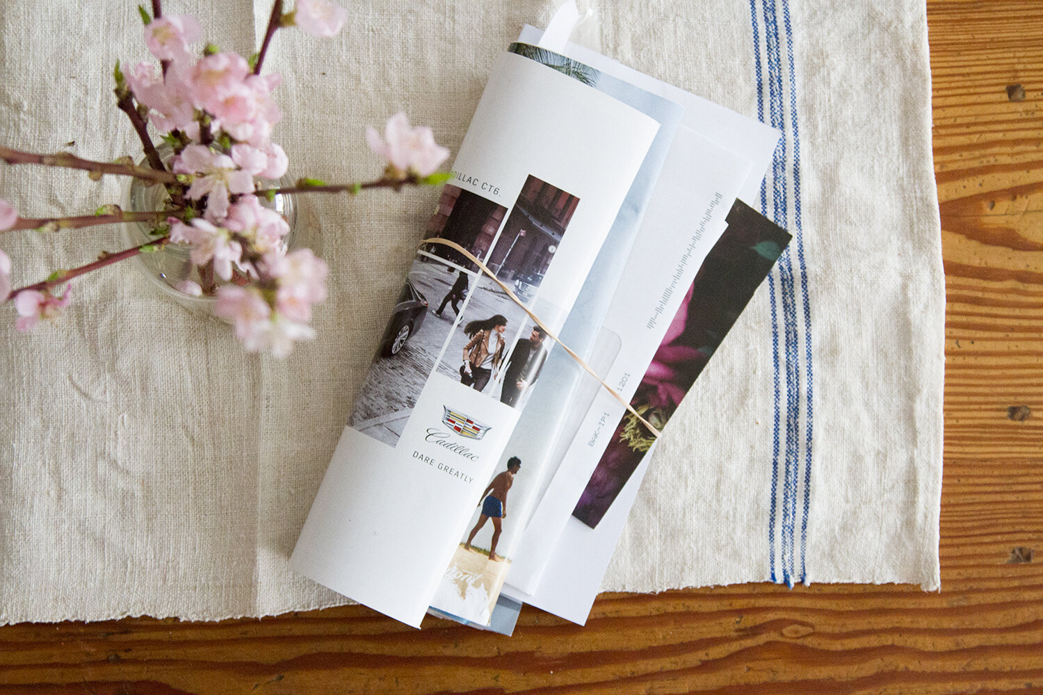 habit shift: junk mail | reading my tea leaves