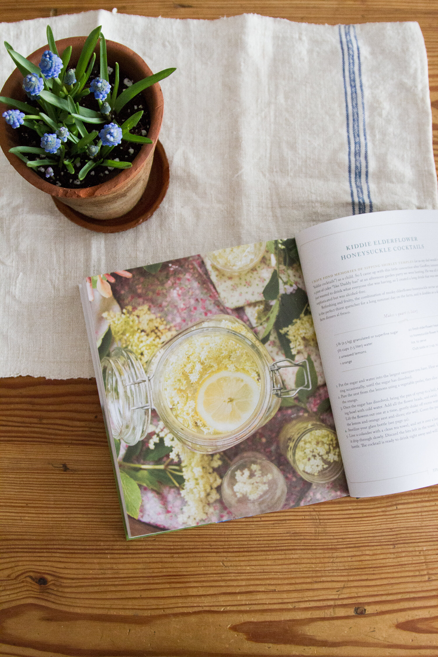 modern farmette | reading my tea leaves