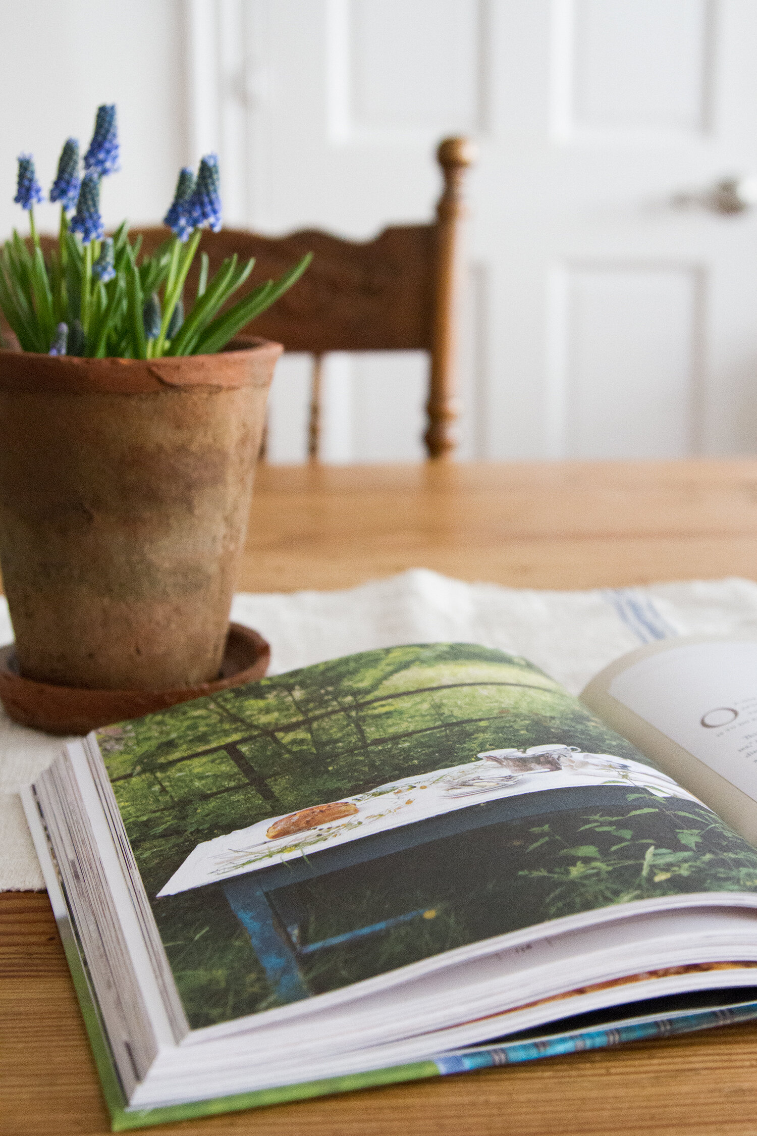 modern farmette | reading my tea leaves