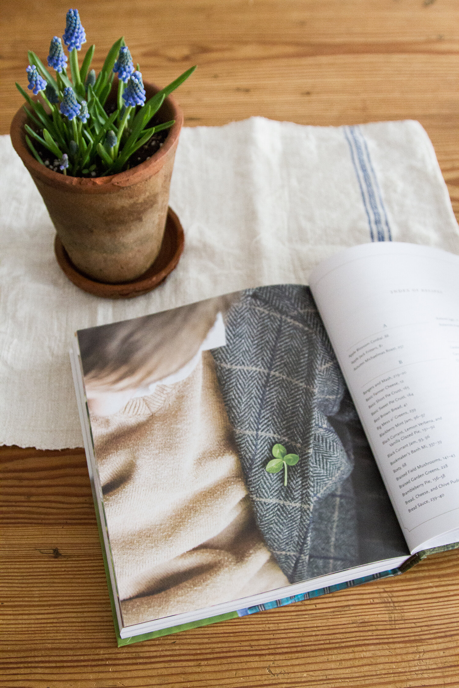 modern farmette | reading my tea leaves