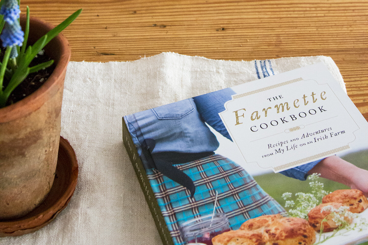 modern farmette | reading my tea leaves