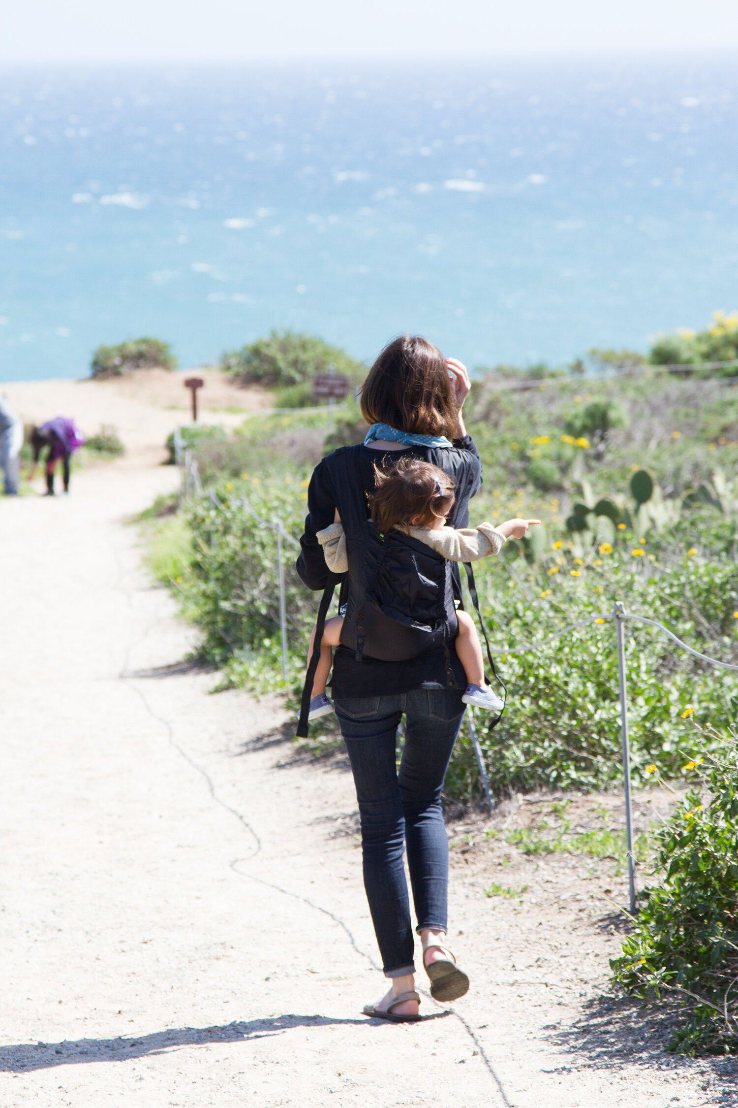 malibu, california | reading my tea leaves