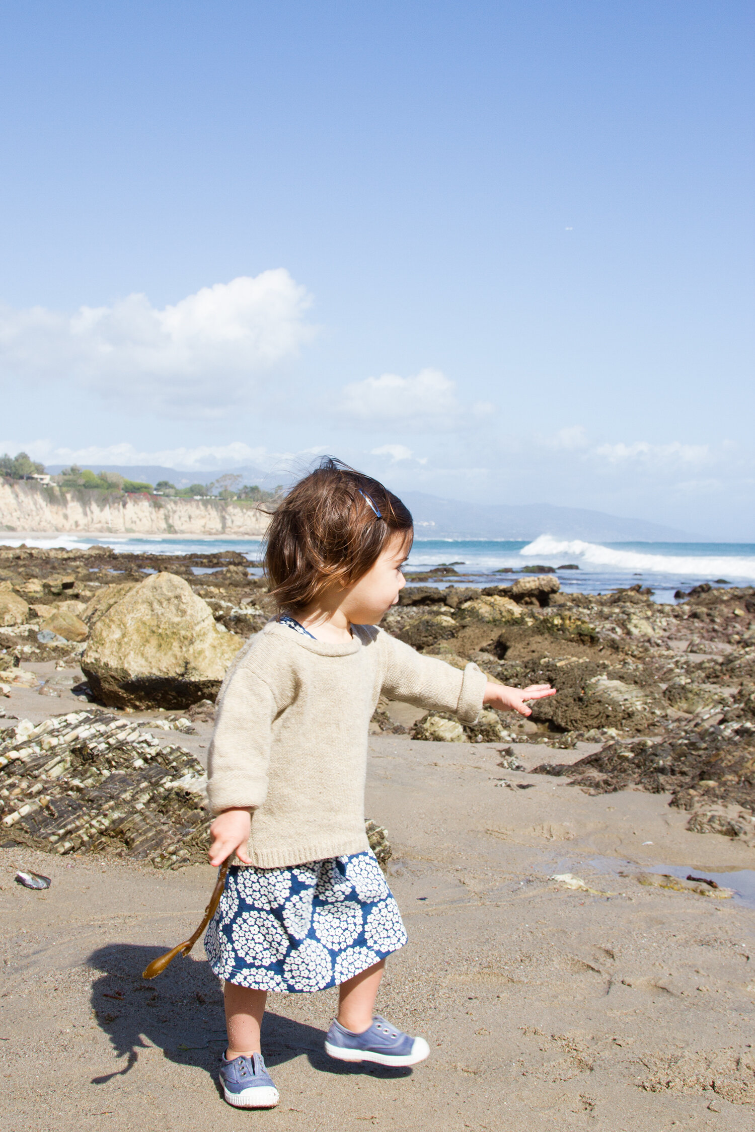 malibu, california | reading my tea leaves