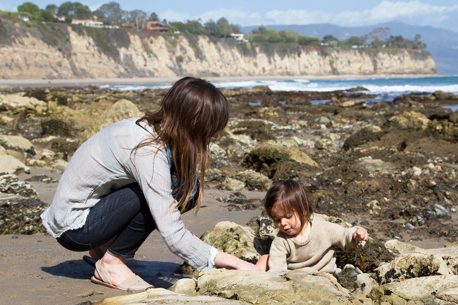 malibu, california | reading my tea leaves
