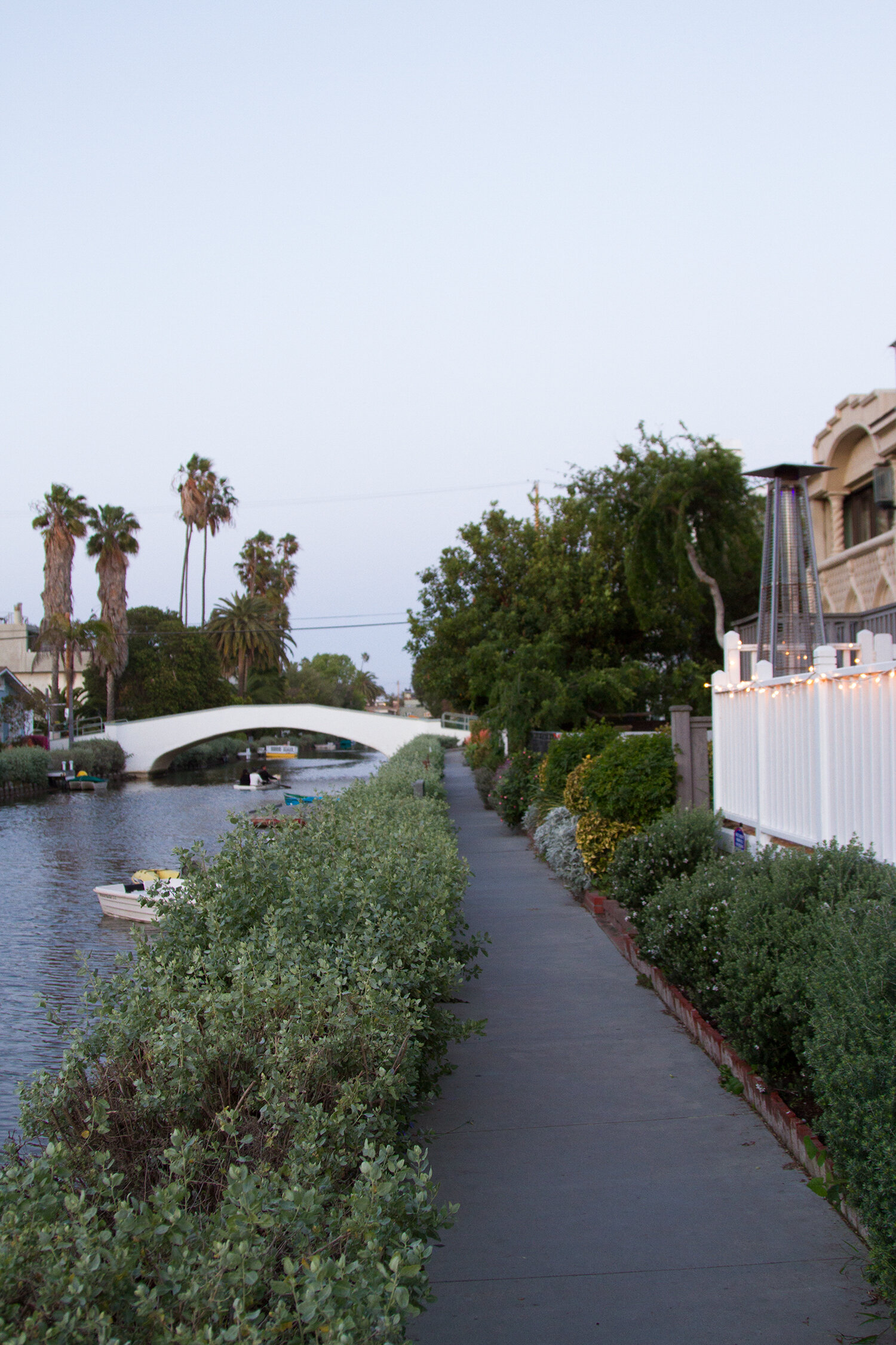 venice, california | reading my tea leaves