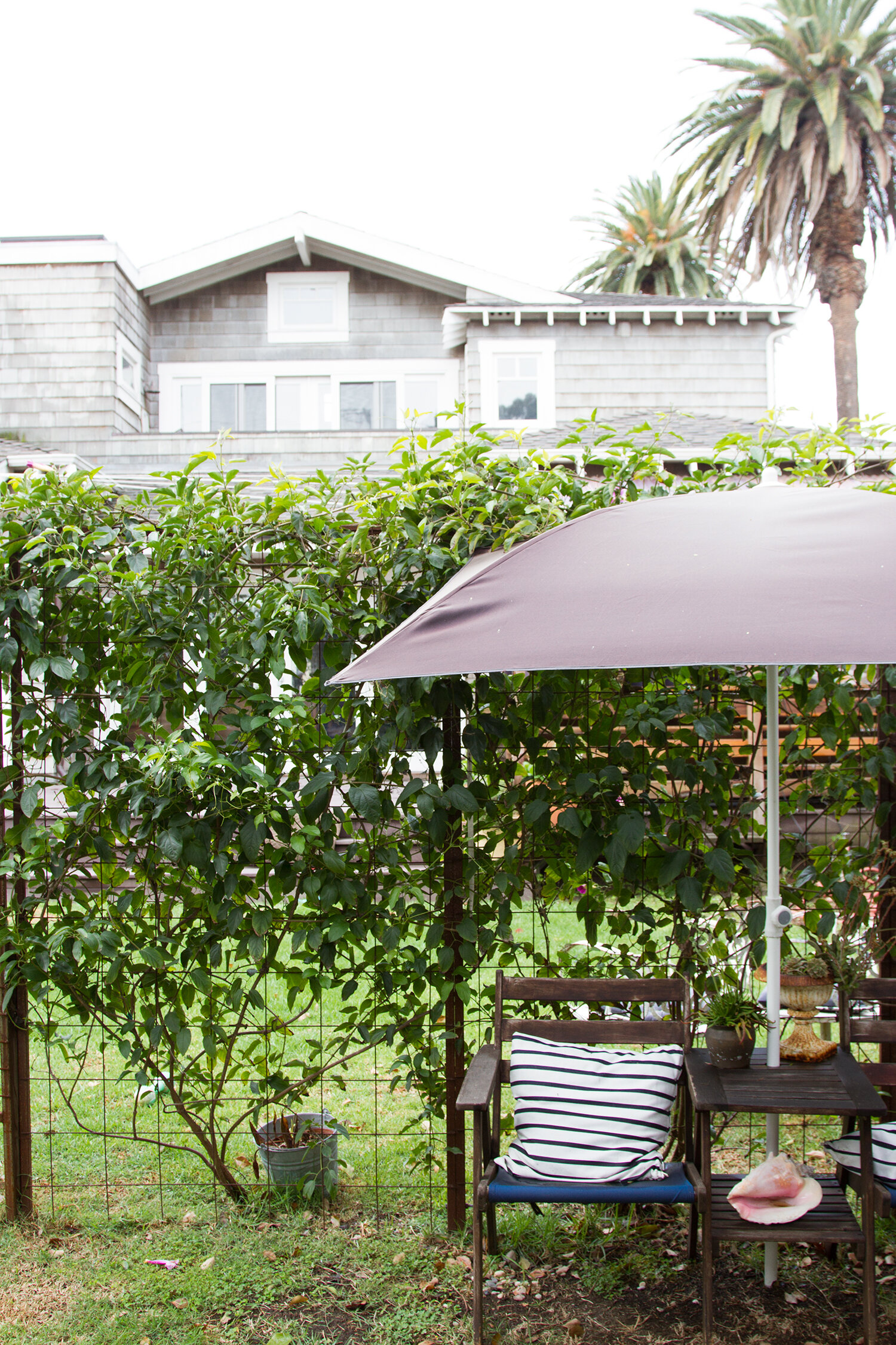 craftsman mini-me: venice, california | reading my tea leaves