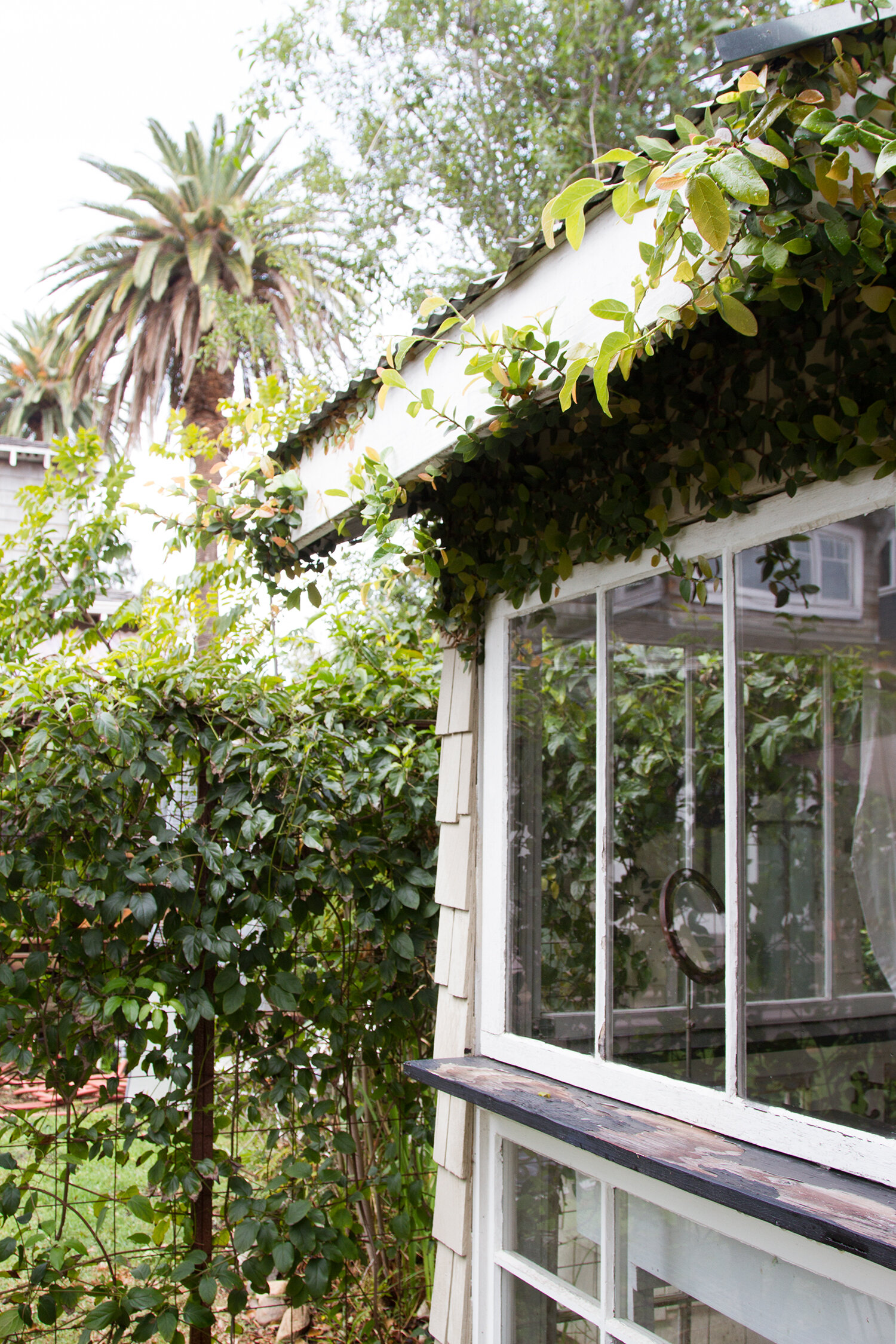 craftsman mini-me: venice, california | reading my tea leaves