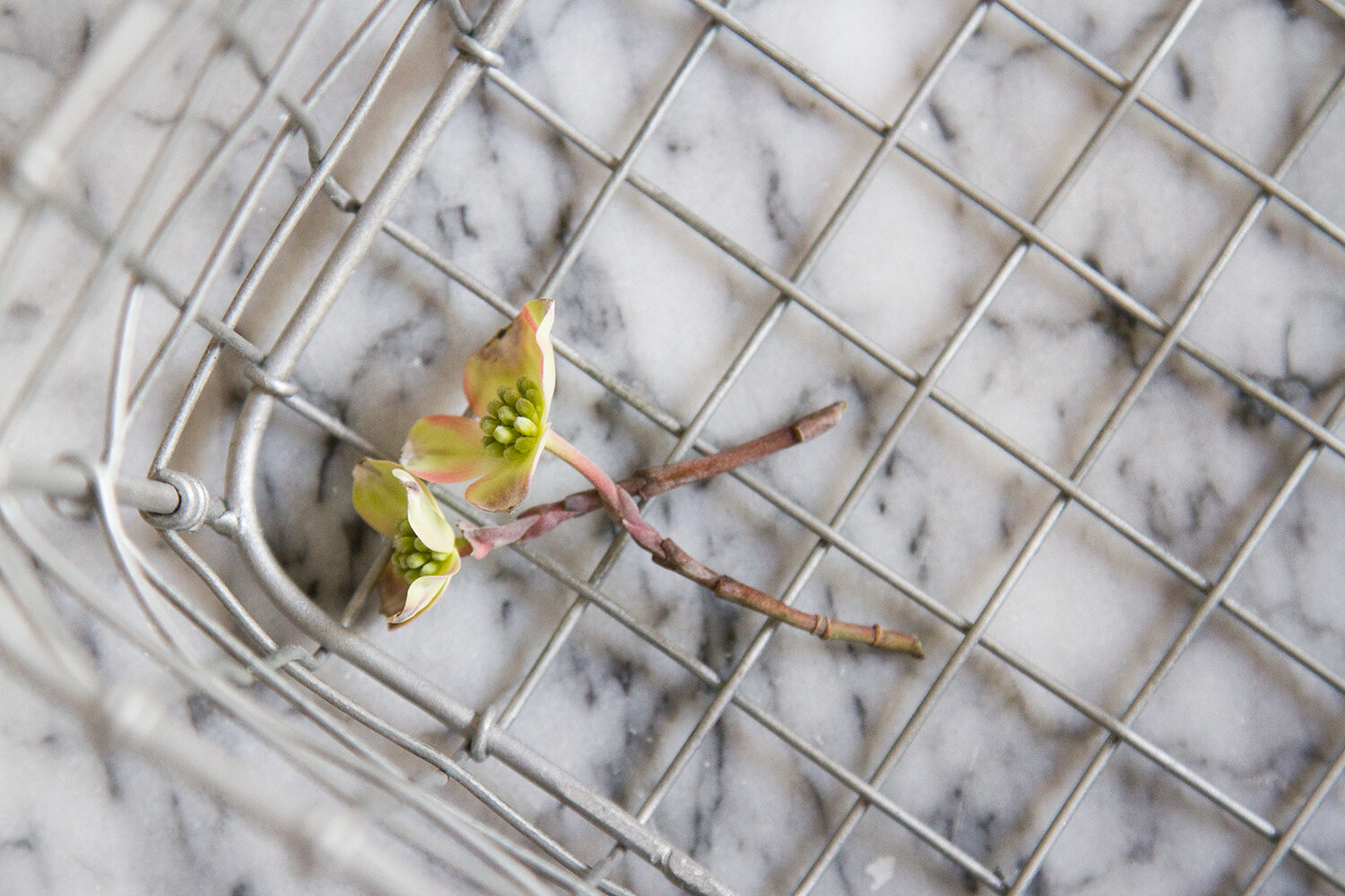 stowaway spring cleaning | reading my tea leaves