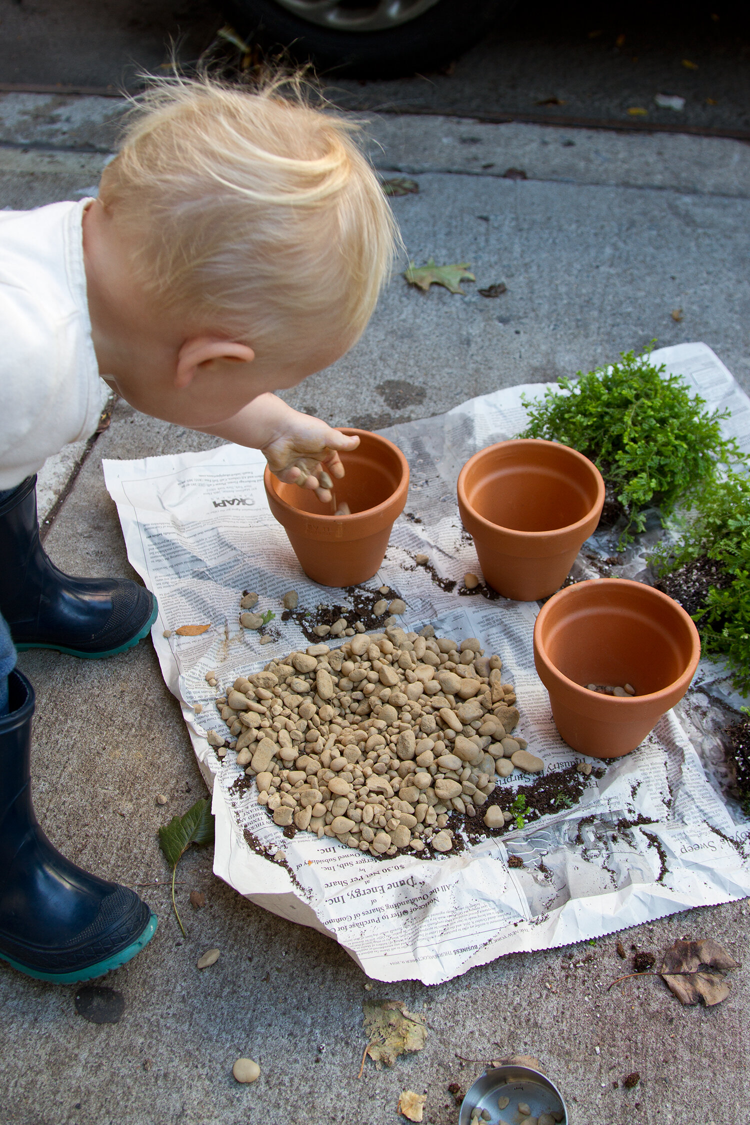 toddler_gardening_reading_my_tea_leaves_IMG_6632