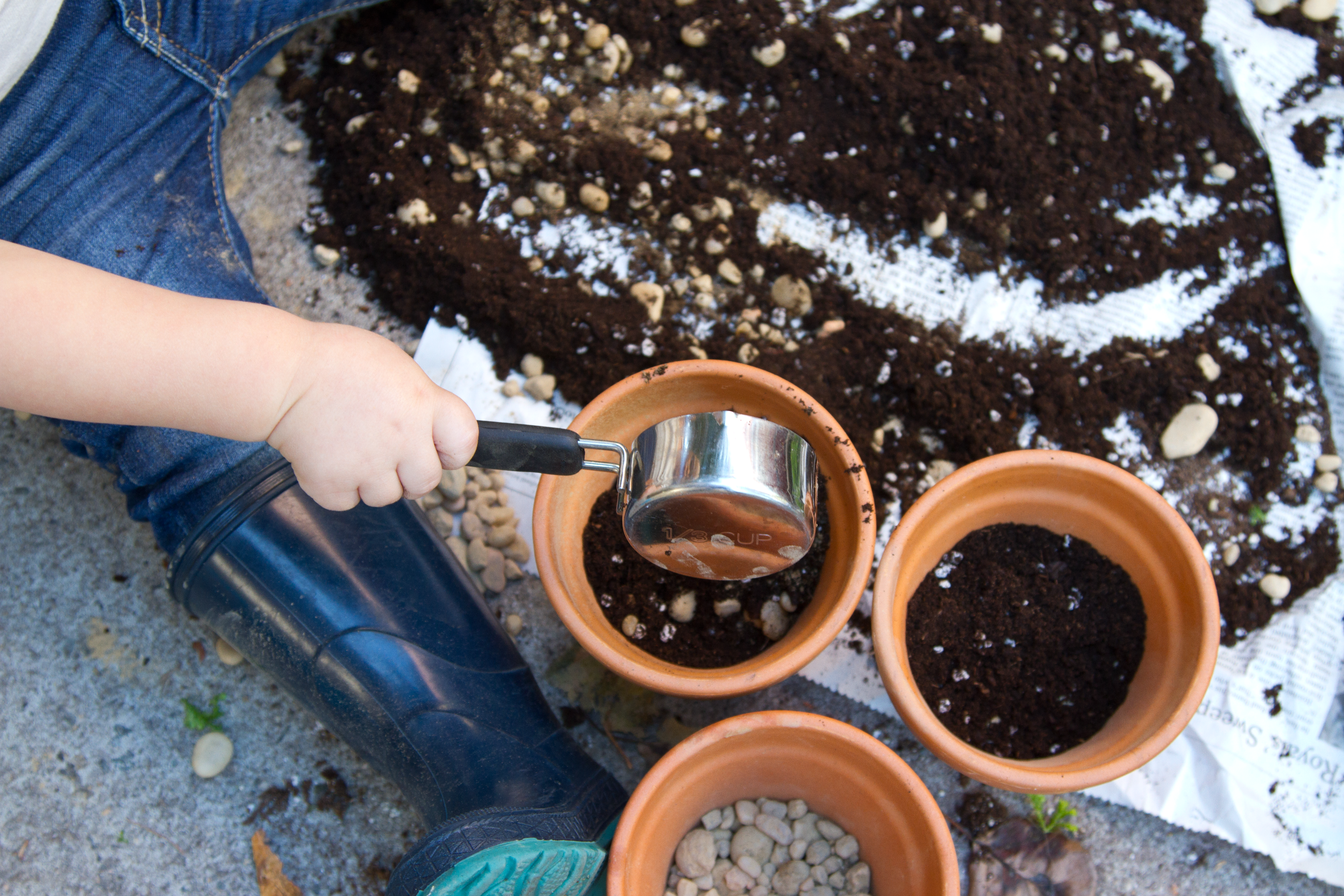 toddler_gardening_reading_my_tea_leaves_IMG_6738