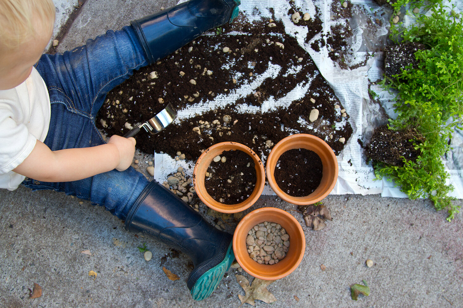 toddler_gardening_reading_my_tea_leaves_IMG_6752
