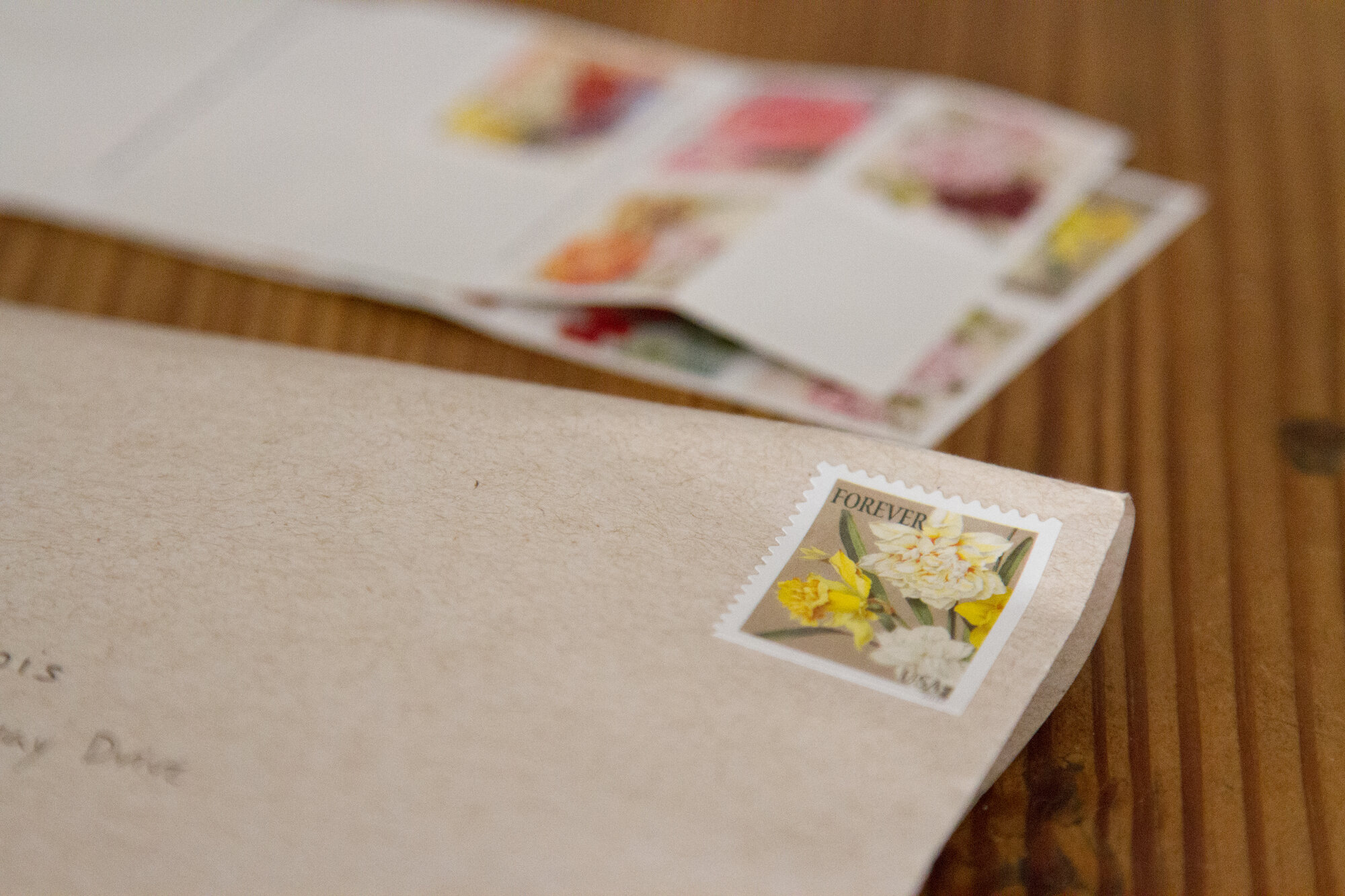 daffodil_stamp_reading_my_tea_leaves_IMG_7149