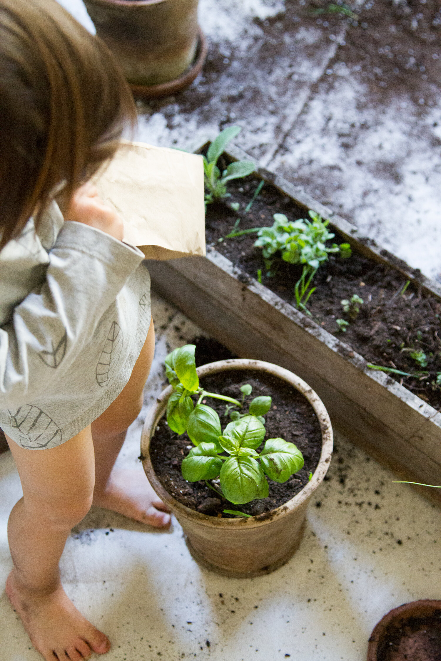 tiny apartment, big drop cloth | reading my tea leaves