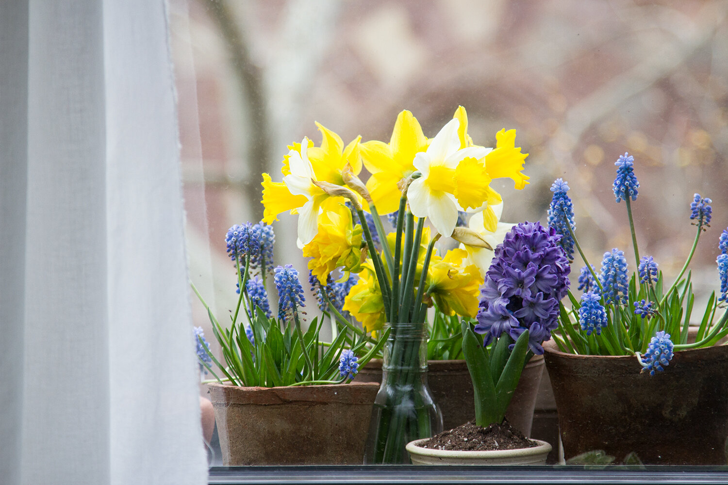 flowers_reading_my_tea_leaves_IMG_7438