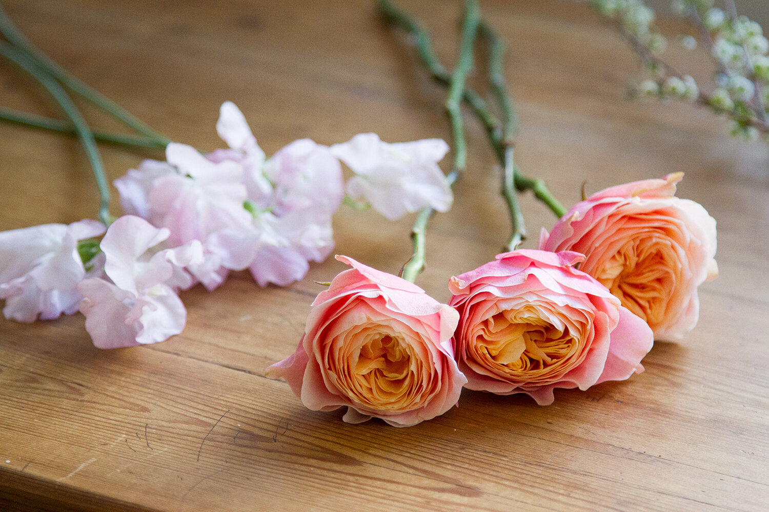 flowers with lisa przystup of james's daughter | reading my tea leaves
