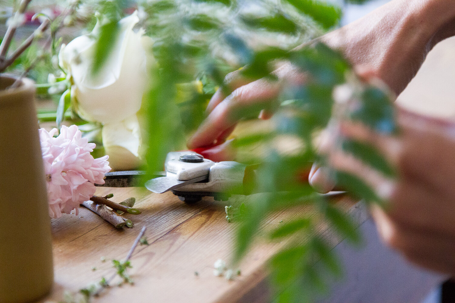 flowers with lisa przystup of james's daughter | reading my tea leaves
