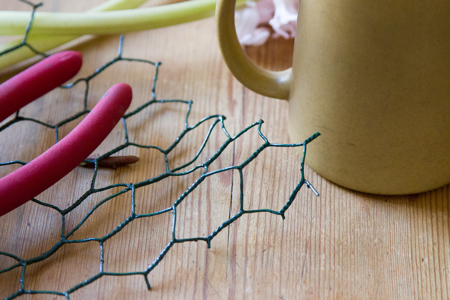 flowers with lisa przystup of james's daughter | reading my tea leaves