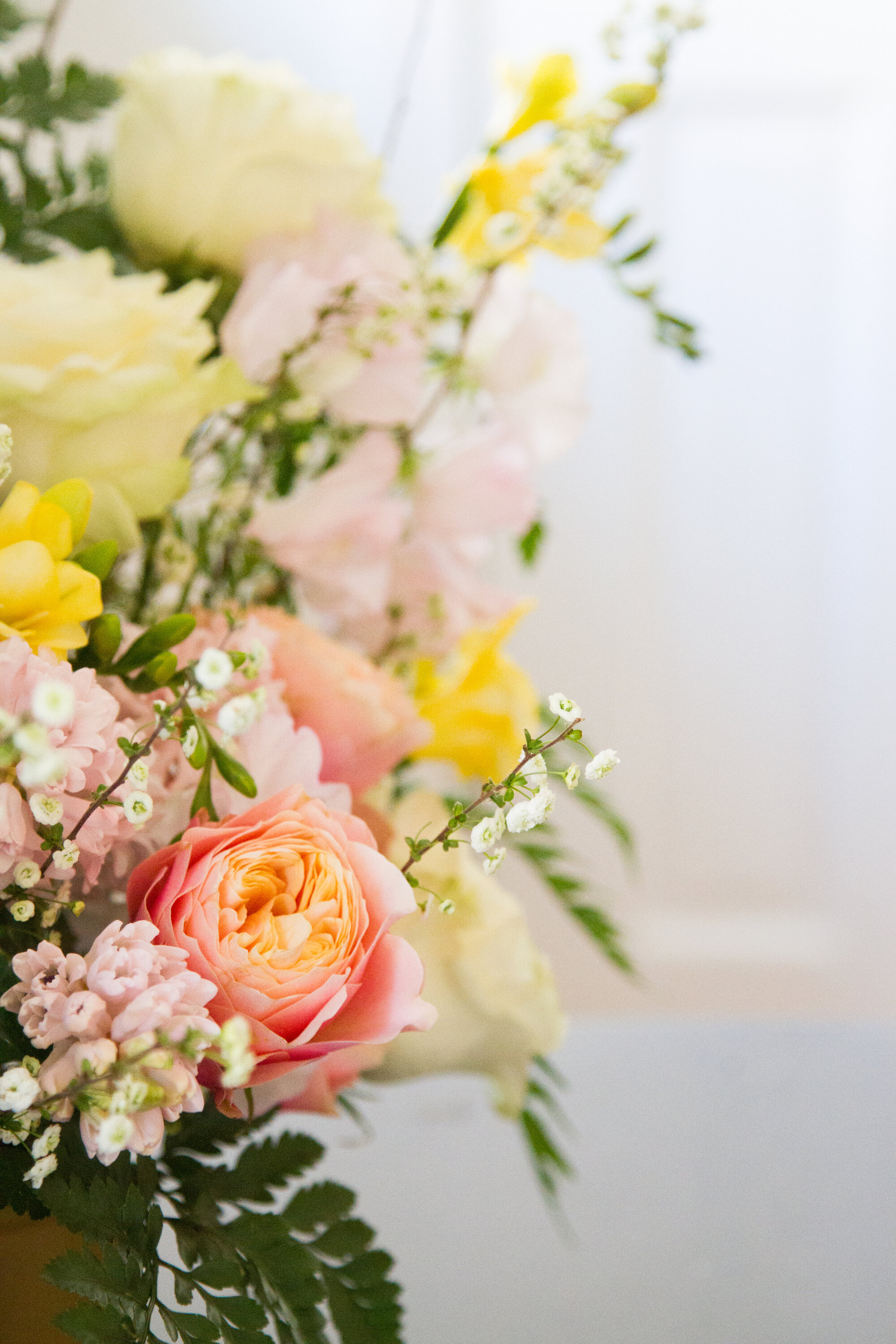 flowers with lisa przystup of james's daughter | reading my tea leaves
