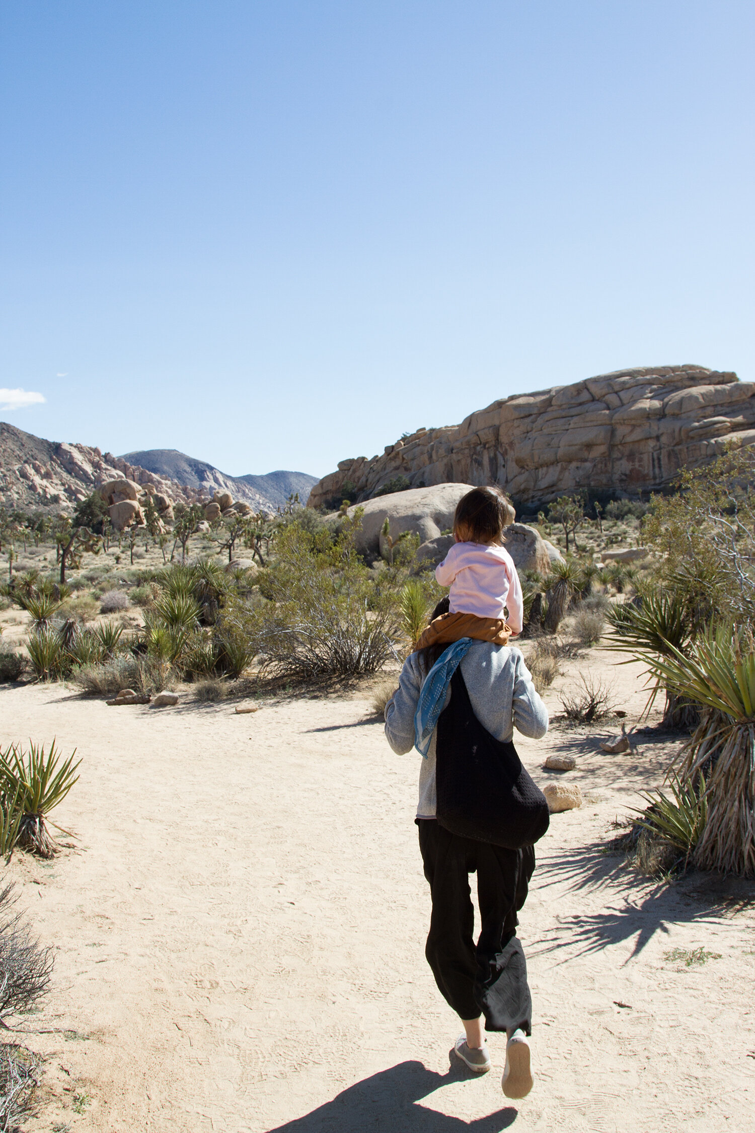 baby proof: parenthood | reading my tea leaves