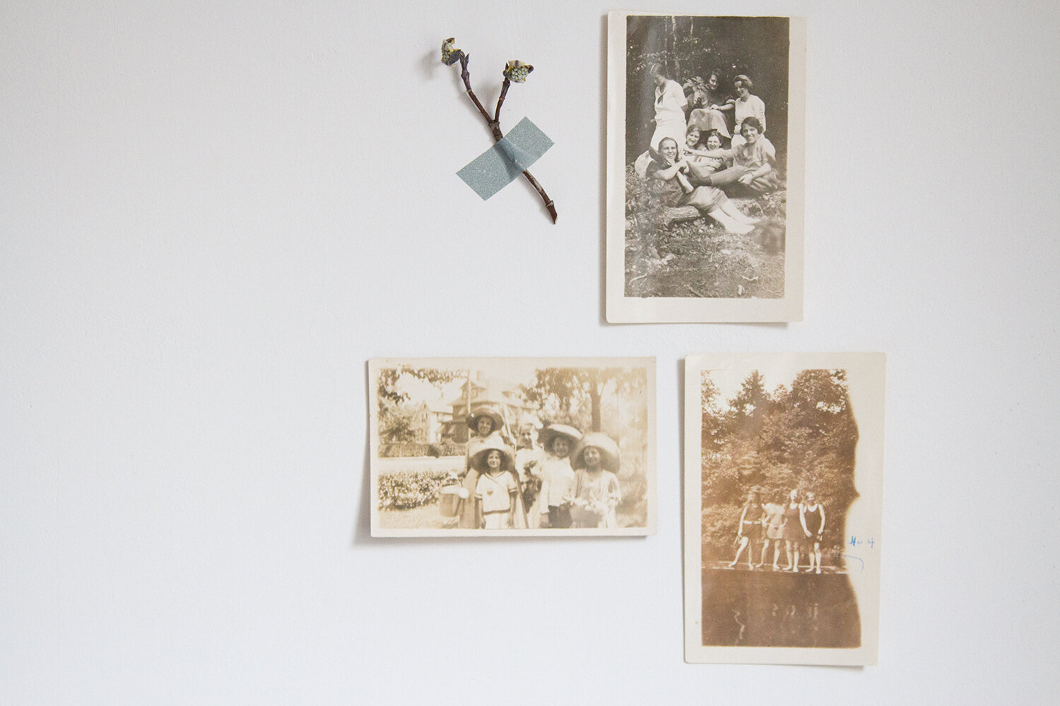 photos_reading_my_tea_leaves_IMG_7445